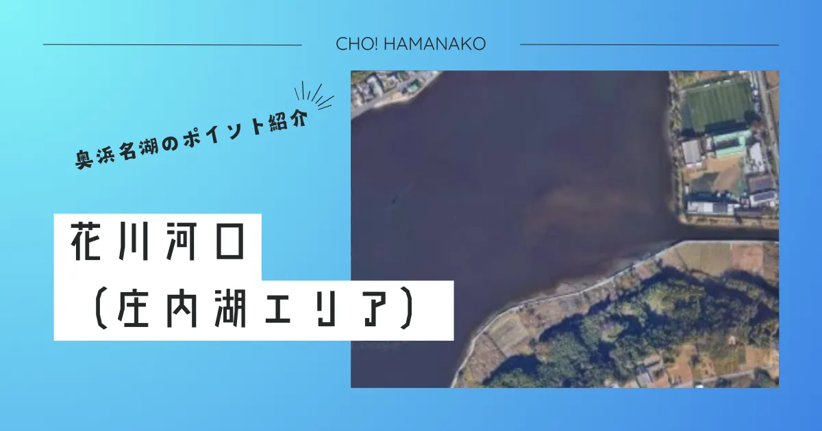 花川河口（庄内湖）の釣りポイント解説｜生命のゆりかご・ハゼ釣りの穴場