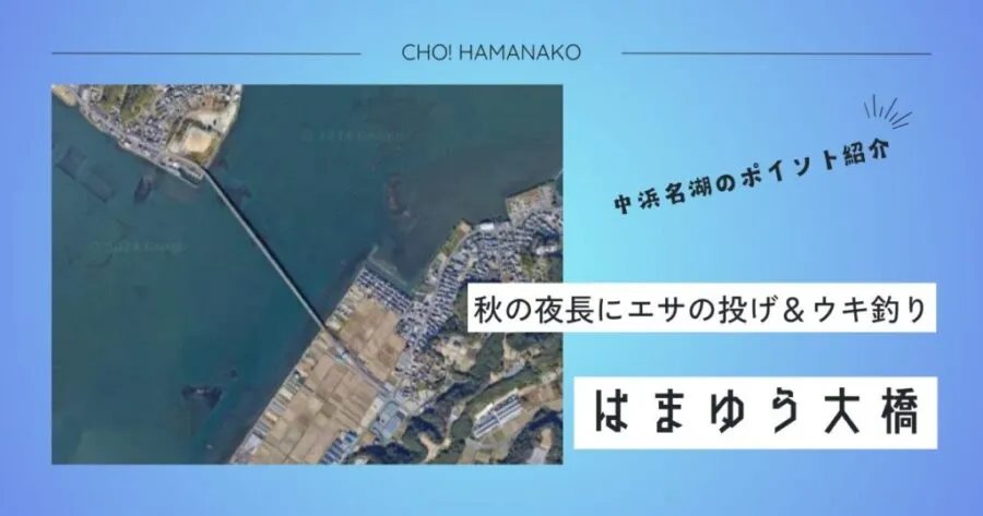 はまゆう大橋｜広大なシャローフラットが生むキビレ・クロダイの回遊ポイント