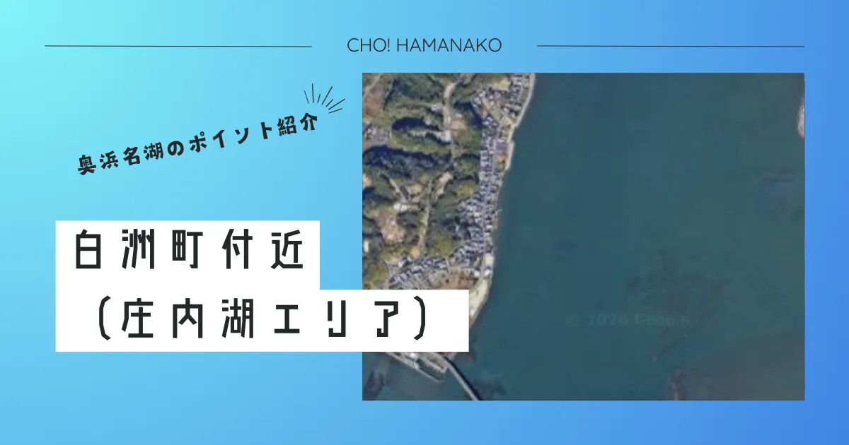 白洲町付近ボートエリア｜「禁断の聖域」！世界屈指のチヌトップ聖地をボートで射抜く