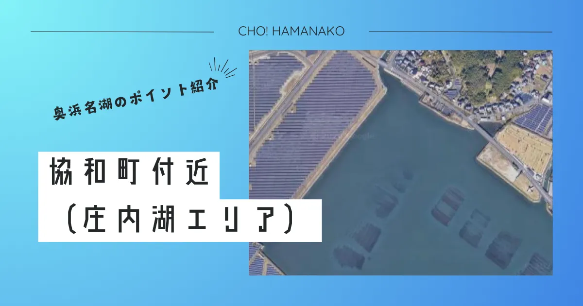 協和町（きょうわちょう）ボートエリア｜庄内湖の「胃袋」！河川の恩恵を受ける汽水フラットを制す