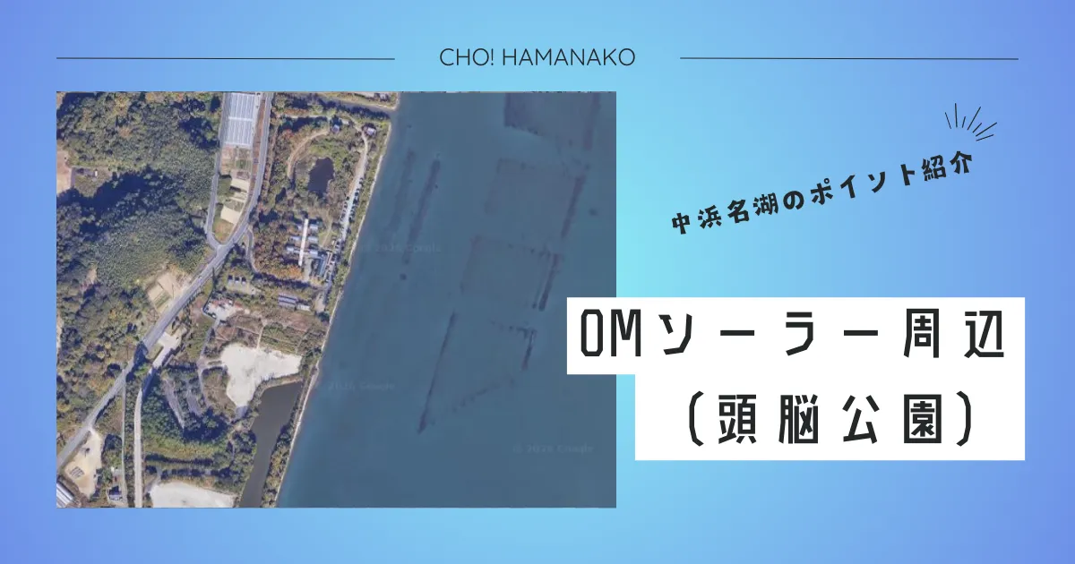 OMソーラー付近（旧：頭脳公園）｜水路と回遊が交差するキビレ・シーバスの隠れた名所