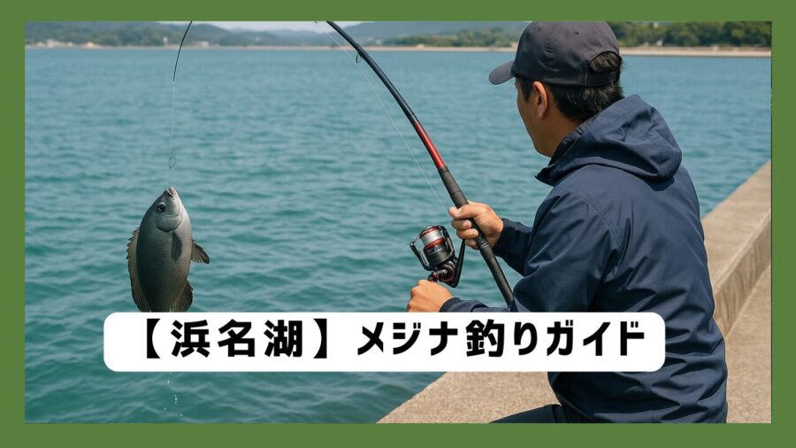 浜名湖でメジナを釣る方法のまとめ！初心者にも釣りやすく引き味もいいターゲット