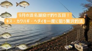 9月の浜名湖投げ釣り五目！キス・カワハギ・ヘダイを一度に狙う贅沢釣法