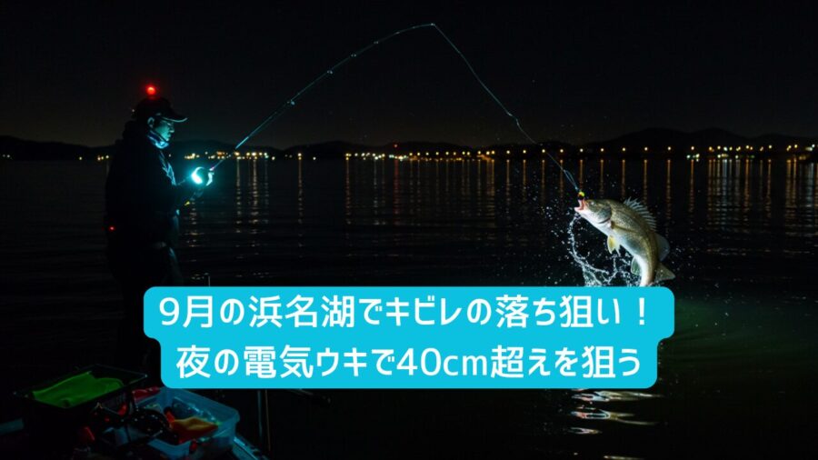 9月の浜名湖でキビレの落ち釣り！夜の電気ウキで40cm超えを狙う