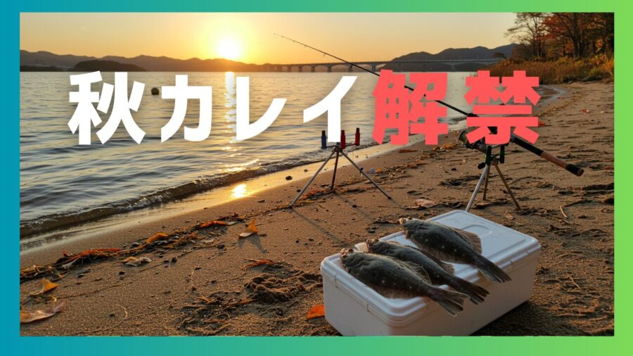 10月の浜名湖カレイ釣りでおすすめのポイント5選