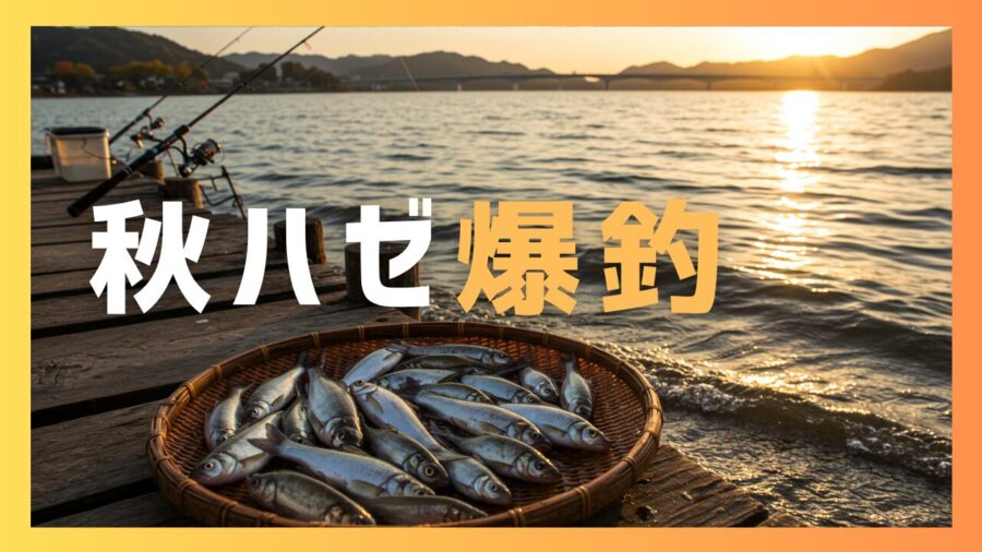 10月の秋ハゼ攻略記事。初心者向け。