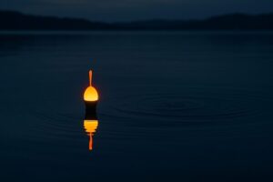 浜名湖奥エリアで晩秋のキビレを狙う！電気ウキ釣りのコツ