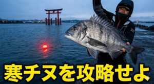浜名湖の象徴である赤鳥居が奥にあり、チヌ（クロダイ）を手に持ったアングラーが冬らしい防寒装備をしている。海には赤く光る電気ウキが浮いている。