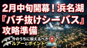 浜名湖のバチ抜けは例年だ2月中頃から。1月の終わりから準備しておきましょう。