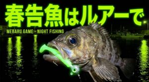 「春告魚はルアーで」のキャプションがあり、ルアーをくわえたメバルが大きく表示されている。