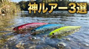 浜名湖のバチ抜けパターンに使えるルアーを3種表示されている。
